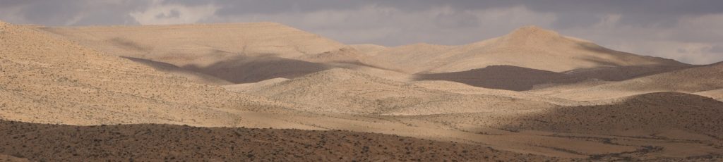 בודהיזם, מיינדפולנס, וקיימות