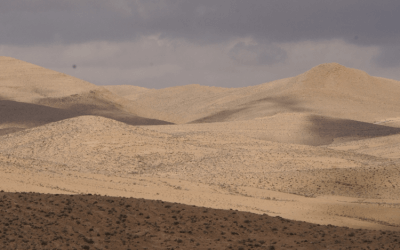 מהו מדבר ומהו אזור יובשני